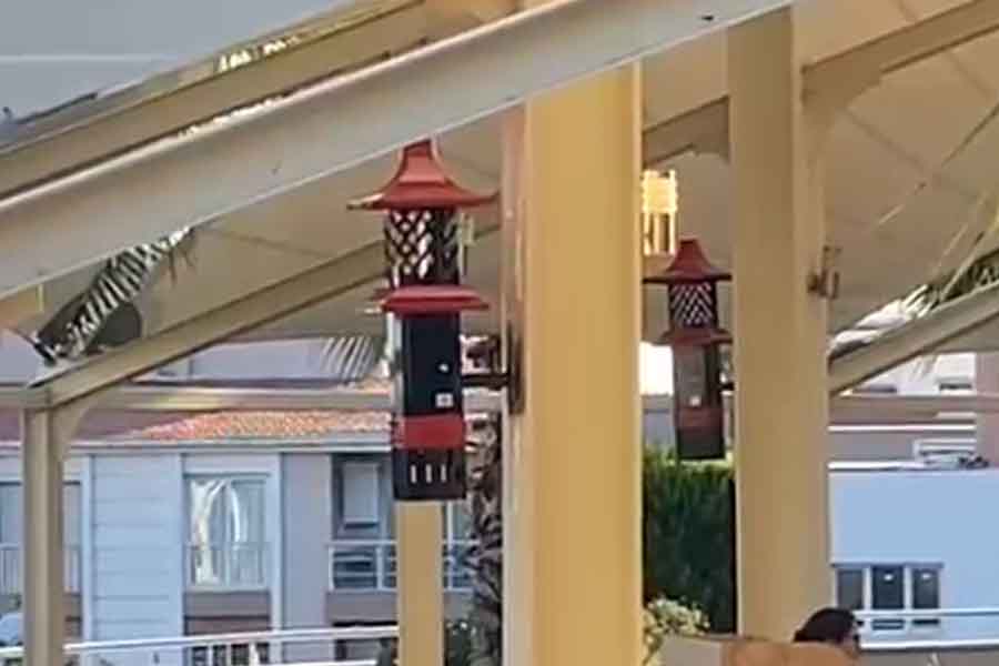 Yenilikçi ve Özgün Tasarım ile Dekoratif Özelliktedir